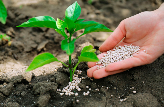 Línea ecológica fertilizantes y plaguicidas