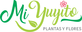 Mi Yuyito